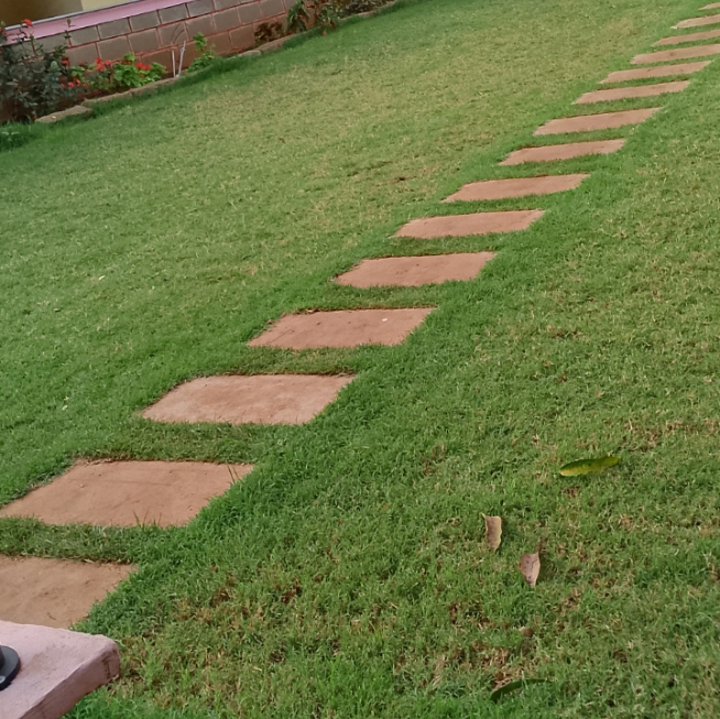 Green garden